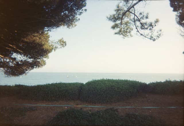 Serene coastal landscape with hedges and ocean view